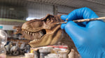 T-Rex Jurassic Park