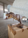 T-Rex Jurassic Park