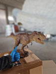 T-Rex Jurassic Park