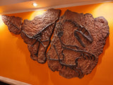 Fossile da parete