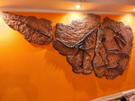 Fossile da parete