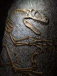 Fossile da parete