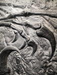 Fossile da parete