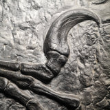 Fossile da parete