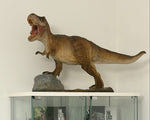Tirannosaurus Rex Gigante.