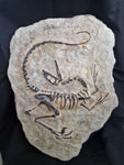 Fossile Deinonychus