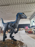 Velociraptor