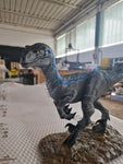 Velociraptor